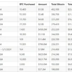 Le pari audacieux de Michael Saylor sur Bitcoin : le sauveur du BTC ou le pari de MSTR ?