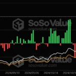 La hausse du Bitcoin du Nouvel An s’essouffle à 96 000 $ – Quelle est la prochaine étape pour BTC en janvier ?