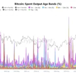 Le Bitcoin chute à 92 000 $ alors que les détenteurs à long terme encaissent : quelle est la prochaine étape ?